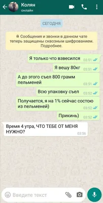 Смеюсь весь день. Смешные переписки в WhatsApp | Твой внутренний баланс |  Дзен