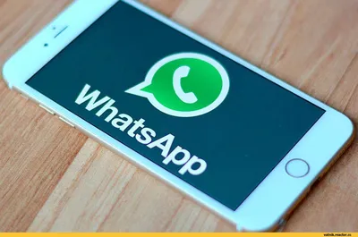 Про WatsApp. Смешные моменты лицензии | Пикабу