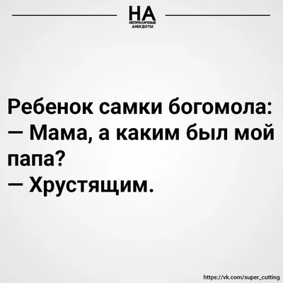 Копье в штанах и матерные стихи Есенина: Смешные истории, рассказанные  учителями - 