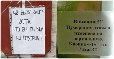 Самые смешные мемы недели: расписка за секс , 9 яиц России, 2 левые ноги  премьера Австралии - 24 Канал