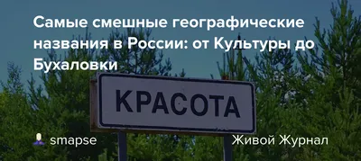 Самые смешные мемы недели: песовалюта, Укрпочта против коронавируса, уже  добравшегося до России - Новости России - 24 Канал