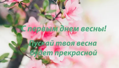 Завтра приходит весна! Прикольные открытки и восторженные стихи в Последний  день зимы 28 февраля | Весь Искитим | Дзен