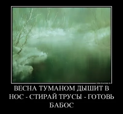 весна / прикольные картинки, мемы, смешные комиксы, гифки - интересные  посты на JoyReactor