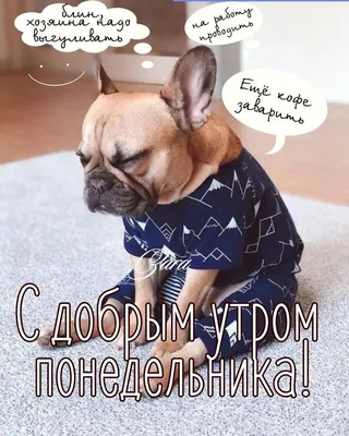 ПОНЕДЕЛЬНИК! | Юмор о работе, Смешно, Юмор о друзьях