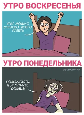 Прикольные картинки и другой юмор для понедельника!