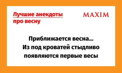 Лучшие анекдоты про весну | MAXIM