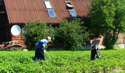 Фазенда зовёт! Дачные приколы (35 фото)