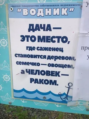 25 дачных приколов, которые поднимут всем настроение / Писец - приколы  интернета