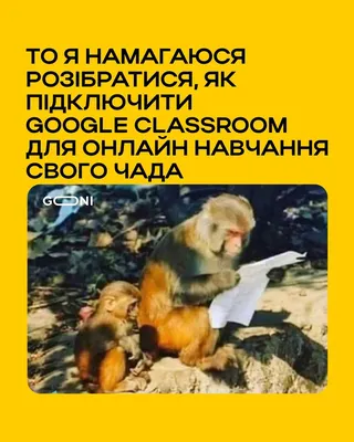 Мари ^ @гп / twitter :: Приколы для даунов :: осознание :: воспоминания ::  интернет :: родители :: разное / картинки, гифки, прикольные комиксы,  интересные статьи по теме.