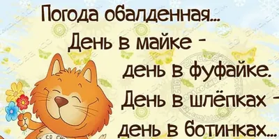 Какие духи в моде этим летом? — Спрей от комаров: веселые шутки, которые  подарят позитивные эмоции