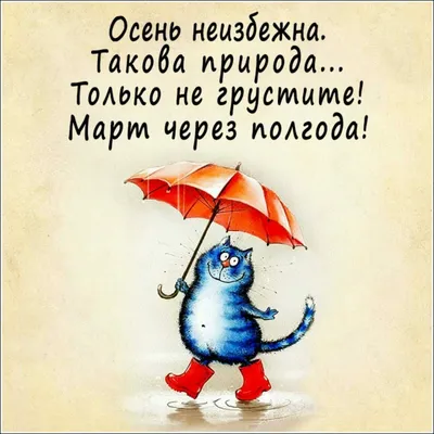 Позитив на выходные. Юмор.Анекдоты. | Бух-Дурдом | Дзен