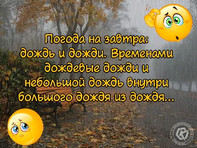 Пин от пользователя Martin на доске Хаски | Вдохновляющие цитаты, Веселые  картинки, Веселые цитаты