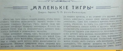 Смешные картинки с днем рождения брату, бесплатно скачать или отправить