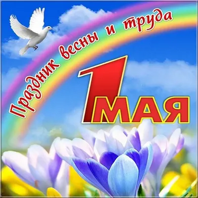 Смешные с 1 мая [46 картинок]