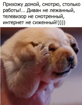 Смешные с 1 мая [46 картинок]