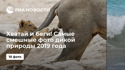 В тихом омуте я вожусь": смешные подписи к детским фото (ухохоталась 😂) |  Мудрые дети📚🤣 | Дзен