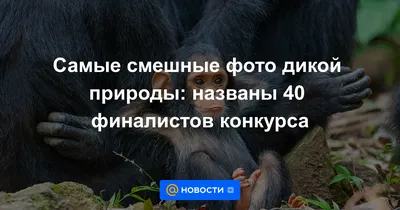 В тихом омуте я вожусь": смешные подписи к детским фото (ухохоталась 😂) |  Мудрые дети📚🤣 | Дзен