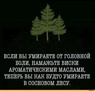 ЕСЛИ ВЫ УМИРАЕТЕ ОТ ГОЛОВНОЙ БОЛИ, НАМАЖЬТЕ ВИСКИ АРОМАТИЧЕСКИМИ МАСЛАМИ,  ТЕПЕРЬ ВЫ КАК БУДТО УМИРА / Приколы для даунов :: дельный совет :: разное /  картинки, гифки, прикольные комиксы, интересные статьи по теме.