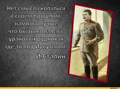 Вова Чернов @е1пет_оу Тетя Ира родственница: А когда жениться собираешься?  Будешь семью обеспе / Приколы для даунов :: разное / картинки, гифки,  прикольные комиксы, интересные статьи по теме.