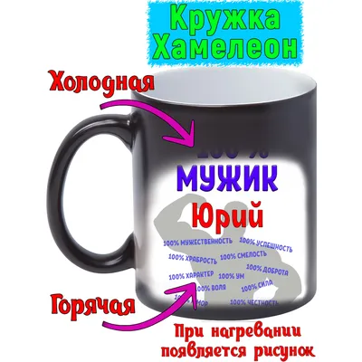 Приключения Васи Куролесова + Школьные "приколы" | Коваль Юрий, Барто Агния  - купить с доставкой по выгодным ценам в интернет-магазине OZON (1131078600)