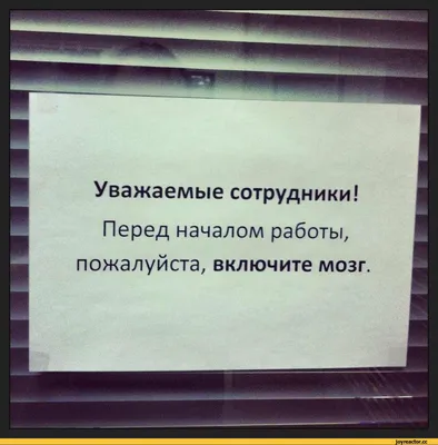 Картинки, Коллеги: подборки картинок, поздравительные картинки, смешные  картинки — Все посты | Пикабу