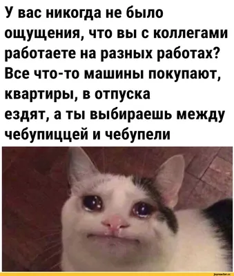 Вчера отпросился с работы, соврал что заболел.  « Сегодня не пришли  трое коллег. Сказали, чт / офисный планктон :: пиздаболы :: болезни ::  приколы для даунов :: работа / смешные картинки