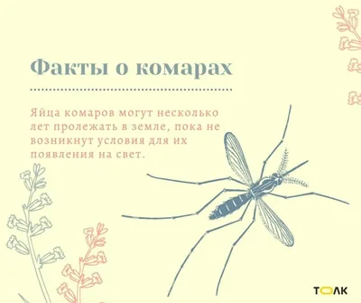 Наша сила не в укусе, а в угрозе укуса!» - 7 смешных комиксов про комаров  от разных авторов | Смешные картинки | Дзен