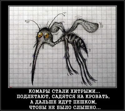 Наша сила не в укусе, а в угрозе укуса!» - 7 смешных комиксов про комаров  от разных авторов | Смешные картинки | Дзен