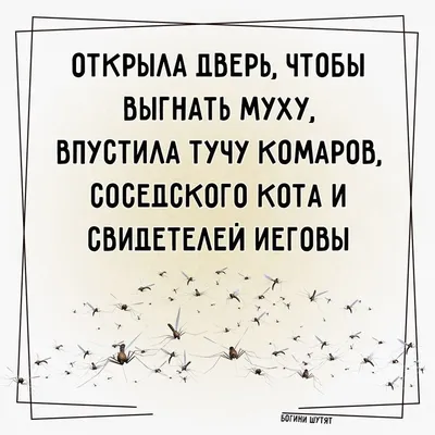 Накипело! Подборка убойных ответов людей, доведённых до ручки