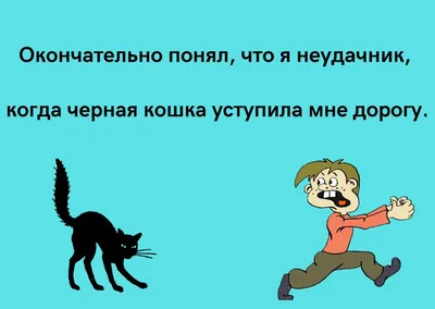 Анекдоты про котов: 50+ шуток, которые поднимут вам настроение