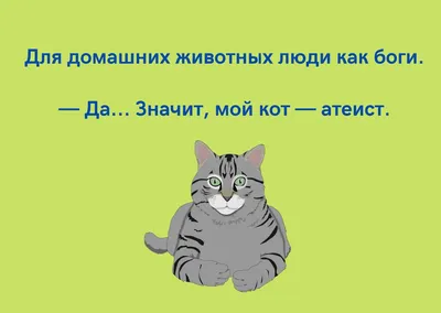 Мемы и Приколы с Котами 2021 года. Подборка смешные мемчики про котов за 11  Октября #shorts | Мемы, Смешно, Кот