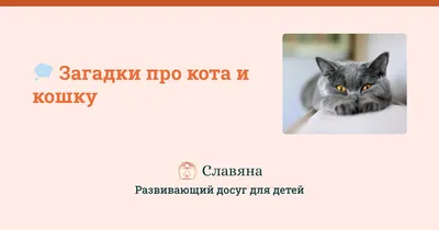 Загадки про кота и кошку 🐈 для детей и школьников с ответами