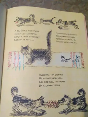 Про Любовь приколы, анекдоты. Шутки про Любовь | с Мариной Гусаковой | Дзен