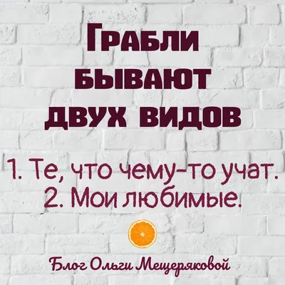 Шу-шу (шутки Шурале). Пьеса | Макарова Ольга - купить с доставкой по  выгодным ценам в интернет-магазине OZON (724602769)