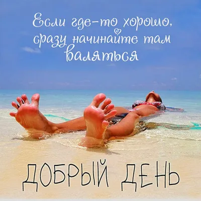 Статусы про отпуск смешные - Афоризмо.ru