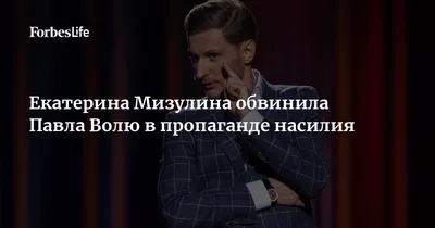 Екатерина Мизулина обвинила Павла Волю в пропаганде насилия | Forbes Life