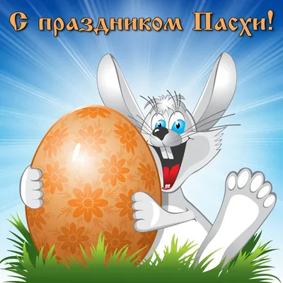 Фото приколы в воскресение и пасхальные яйца | Mixnews