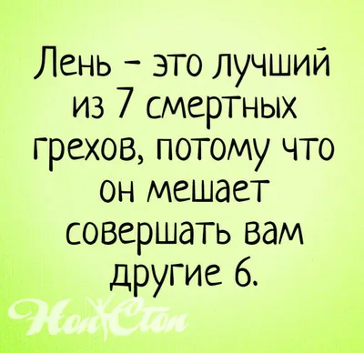 Фитнес-милота — смешное видео, где котёнок помогает накачать пресс -  Чемпионат