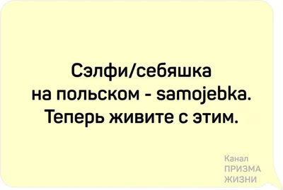 6 июня :: День русского языка / смешные картинки и другие приколы: комиксы,  гиф анимация, видео, лучший интеллектуальный юмор.