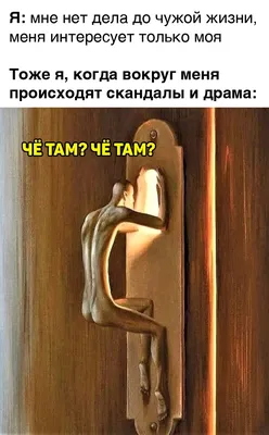 Тоня Мусика. | Смотри, кто идёт!🤣(Сплетницы кошки у окошка) 😁@Андрей Ива  #юморприколы#юморисатира#смехдослёз#ржунимагу#cat | Дзен