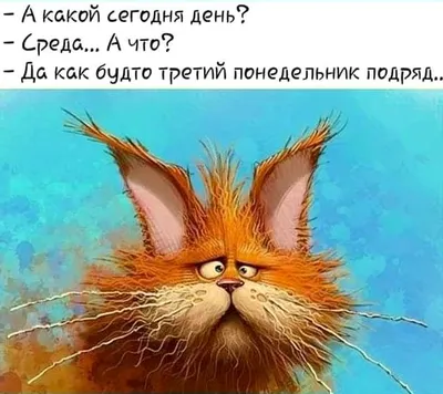 Коллекция смешных и классных открыток про среду