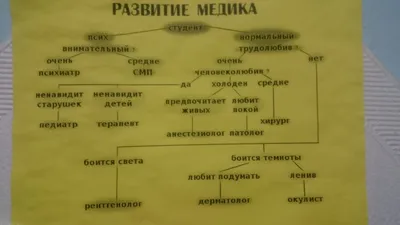 Лучшие анекдоты про медицину, докторов и пациентов | MAXIM