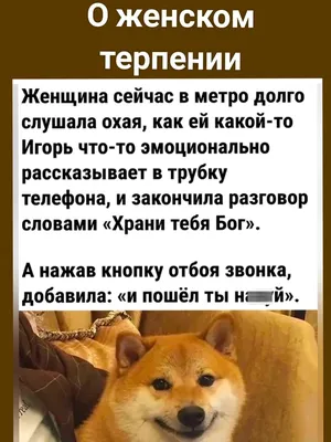 Наклейка интерьерная на стену и авто, надписи на дверь и ноутбук,  холодильник и унитаз, на автомобиль, зеркало или дневник. Прикольные  наклейки с приколами, смешные. - купить по выгодным ценам в  интернет-магазине OZON (