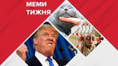 Путин и Трамп: в сети появилась смешная карикатура - карикатура, рисунок,  Владимир Путин, Дональд Трамп | Обозреватель | 