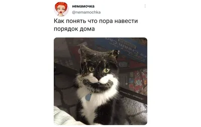 Смешные открытки про уборку