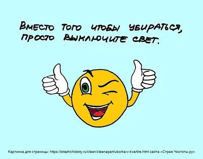 Как мой муж представляет себе уборку, или "а что тут смешного?" | О том о  сём | Дзен