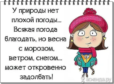 Идеи на тему «Весна - приколы» (12) | смешно, шутки, так смешно