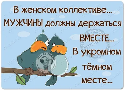 Прикольные тосты на Новый год 2024 для корпоратива: шуточные пожелания для  коллектива и начальства | Женский журнал Клео | Дзен