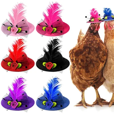 Аксессуары для маленьких куриных птиц, смешные аксессуары для кур, верхняя  шляпа, петух, утка, попугай, хомяк, птица, стильный костюм для шоу |  AliExpress