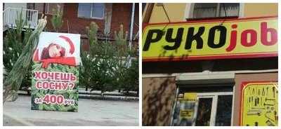 Смешные надписи, увиденные 1 апреля, и не только | Фотогалерея | КУЛЬТУРА |  АиФ Владивосток